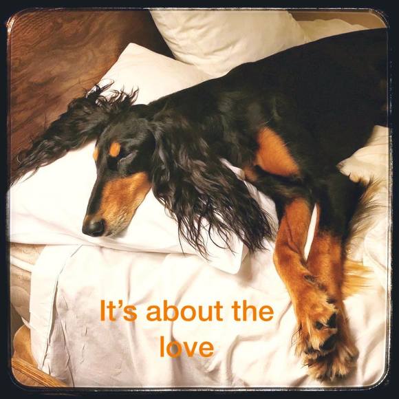 lasaluki